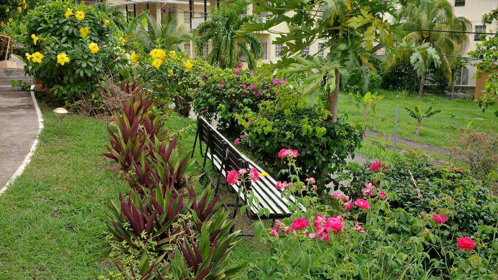 Bougainvillea Apartments St. George's Buitenkant foto